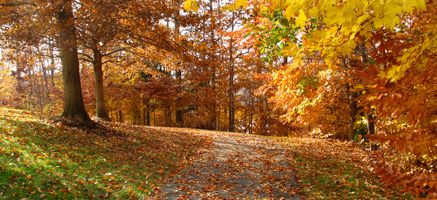 The Road